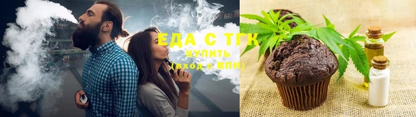 стаф Каменка
