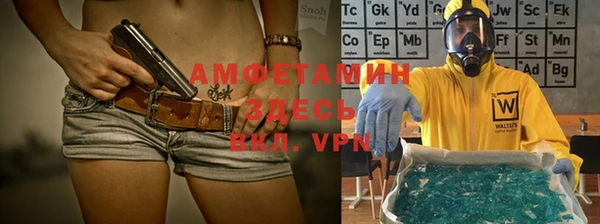 стаф Каменка