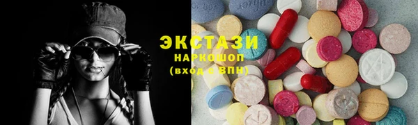стаф Каменка