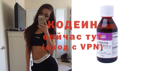 стаф Каменка