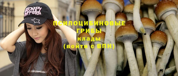 шишки Каменск-Шахтинский